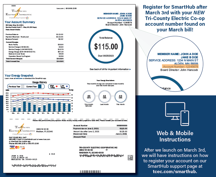 Snapshot of new TCEC bill layout